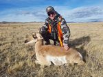02 Jim 2018 Doe Antelope